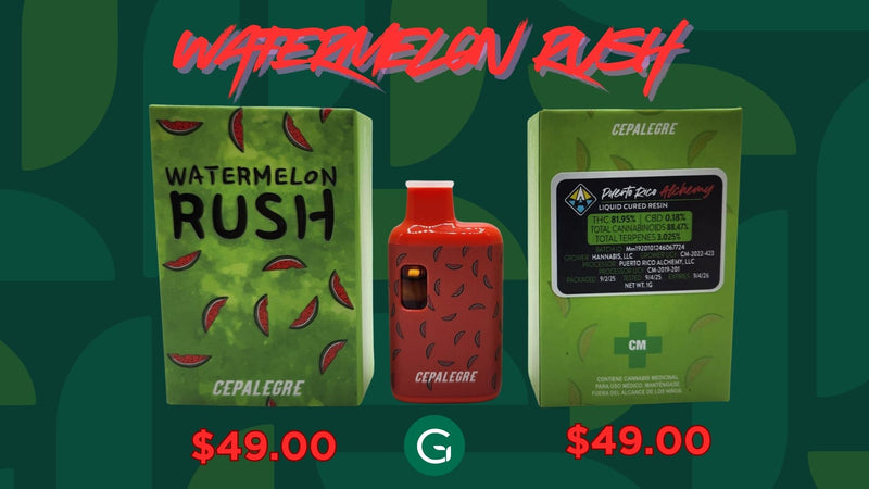 WATERMELON RUSH