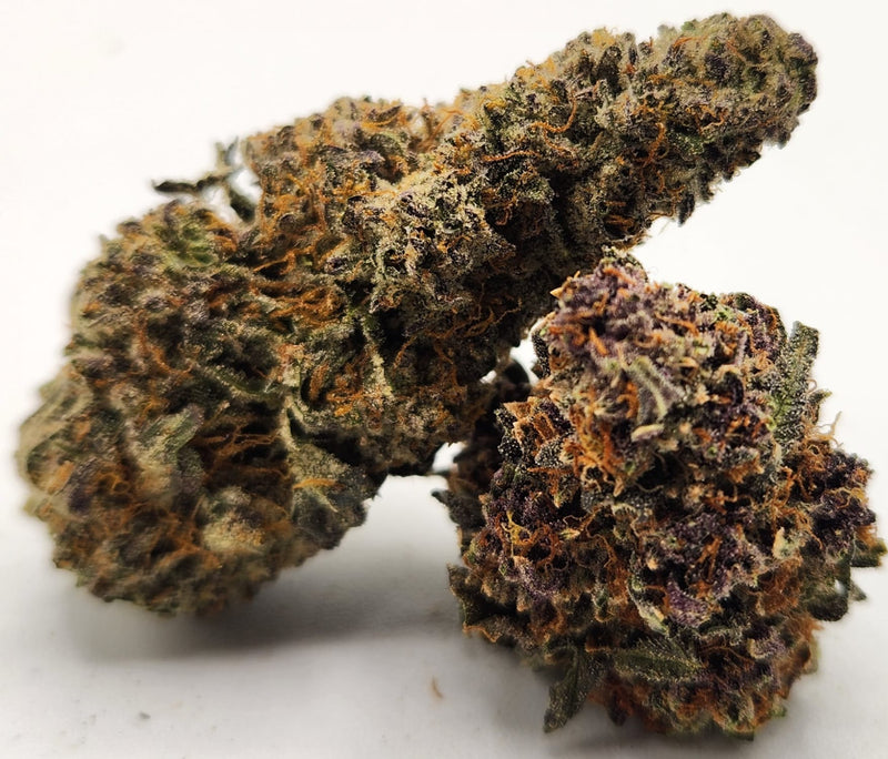 Mambo Kush