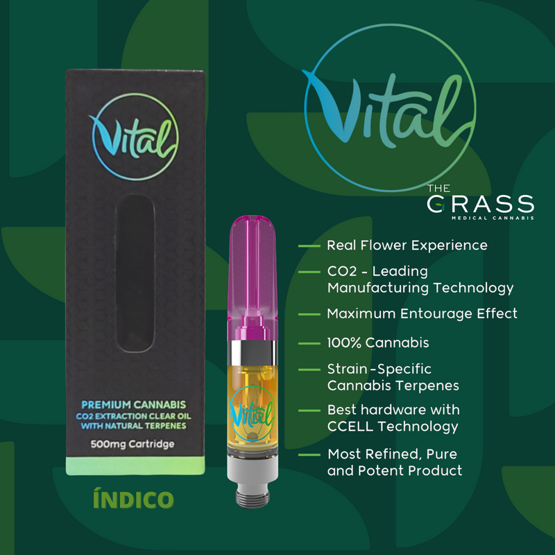 Lucy Dog Cart. 500mg (H) Vital