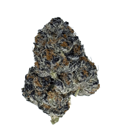 Acai Sherbert