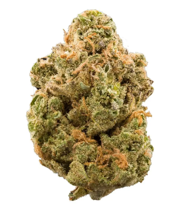 Brian Berry Cough