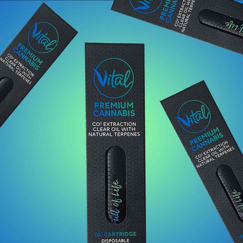 Black Dog 1 Gram Disposable