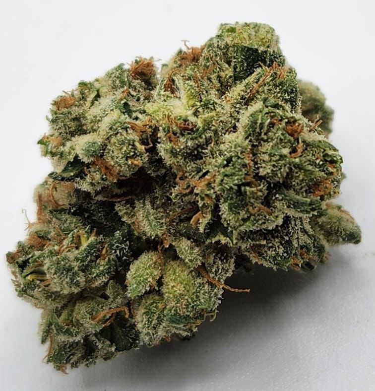 White Chocolope