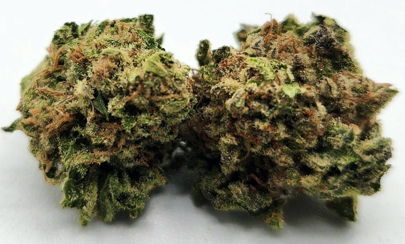Lemon Sherbet
