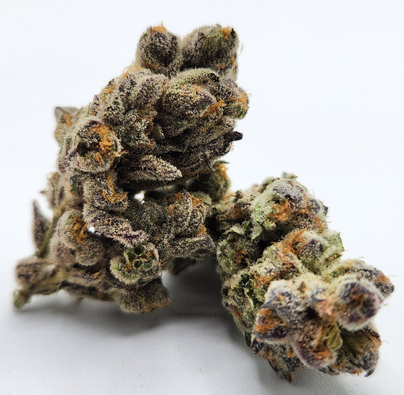 Sunset Sherbert
