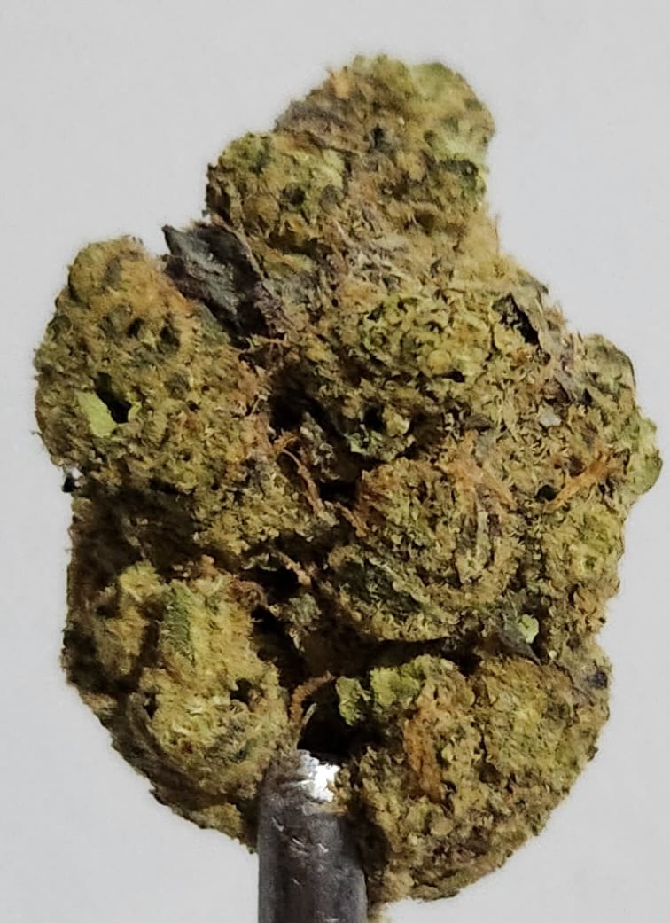 Grape Gas