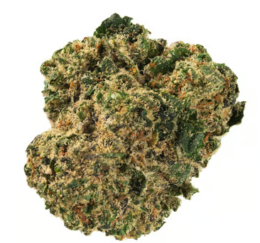 Gelato #33